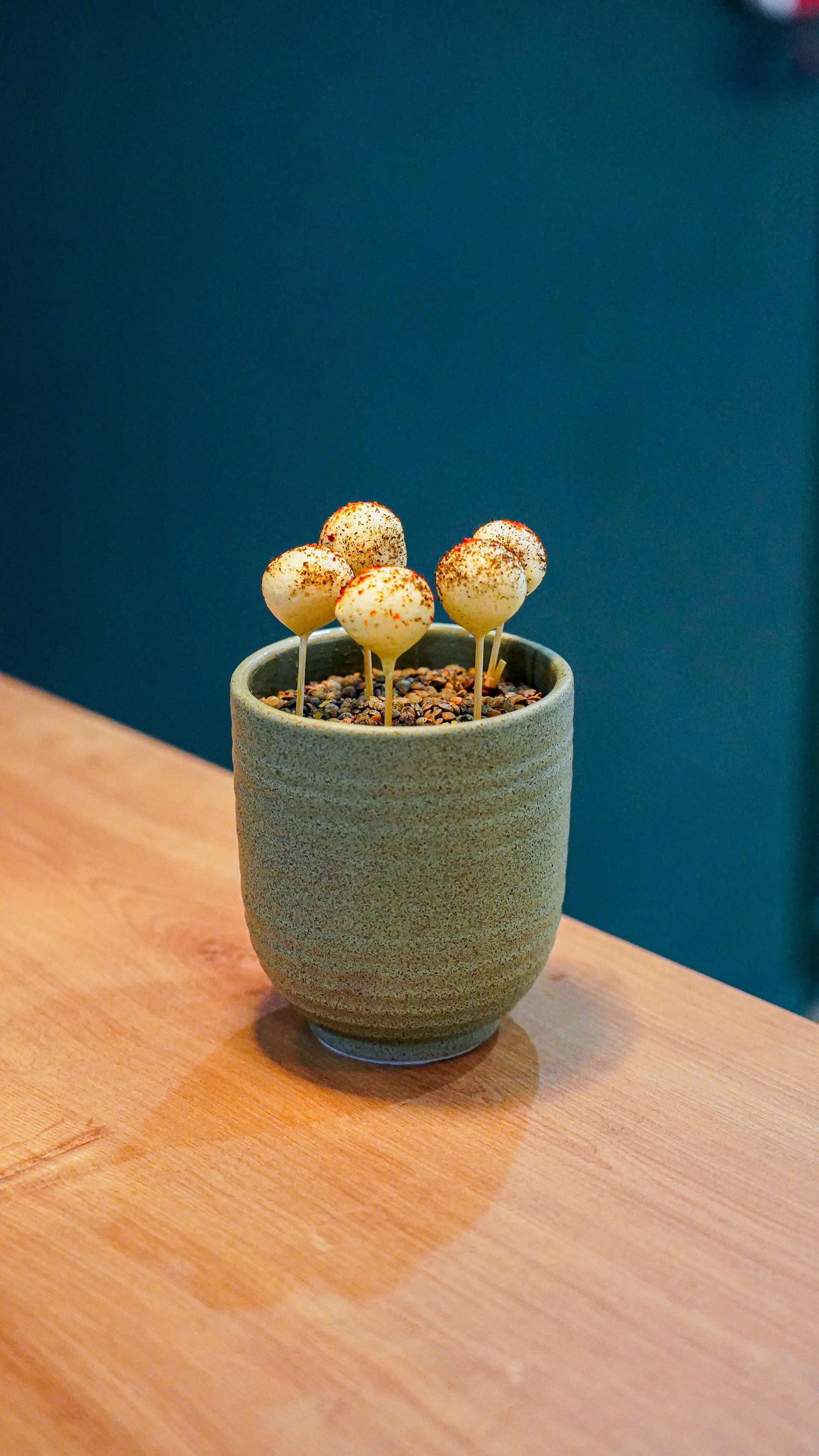 Cake pops créatifs dans un pot en céramique